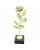 statuetka-4209-roza-zlota-blysk.jpg