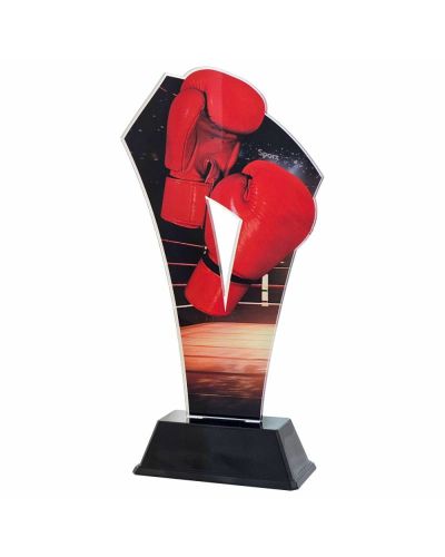Statuetka Pleksi 4350 Boks 22 cm Nadruk UV | Trofeum Bokserskie