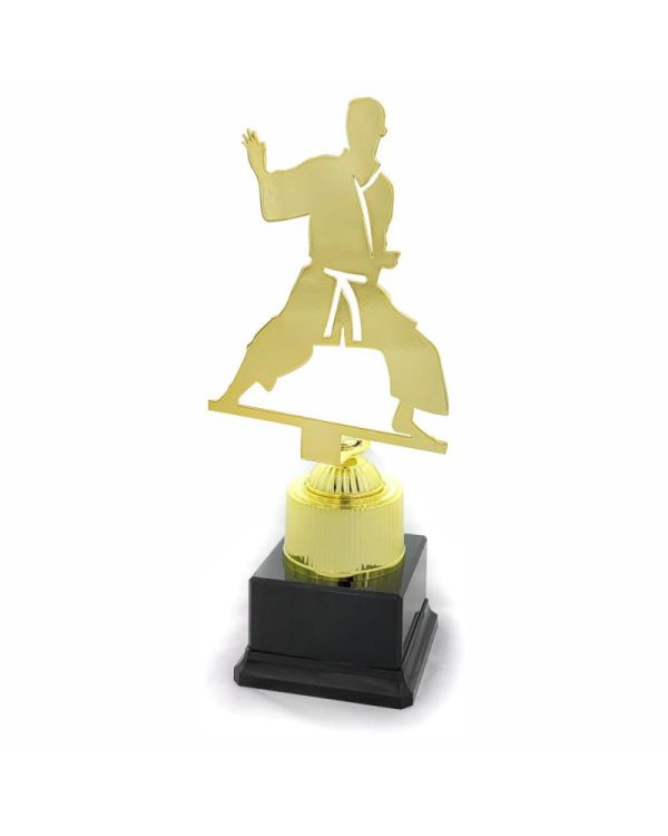 statuetka-4279-karate.jpg