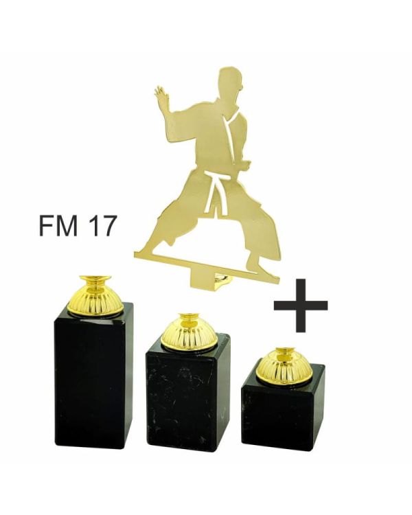 statuetka-4215fm17-karate.jpg