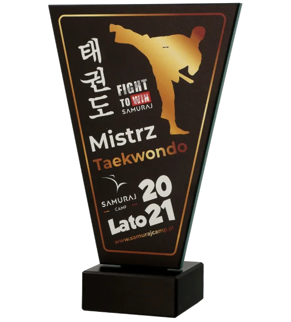 Statuetka-Mistrz-Taekwondo-bok.jpg