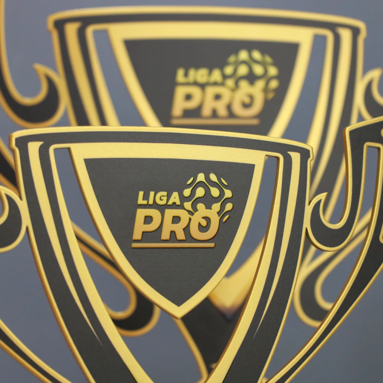 Statuetka-Pro-Liga-w-ksztalcie-pucharu-detal-1.jpg