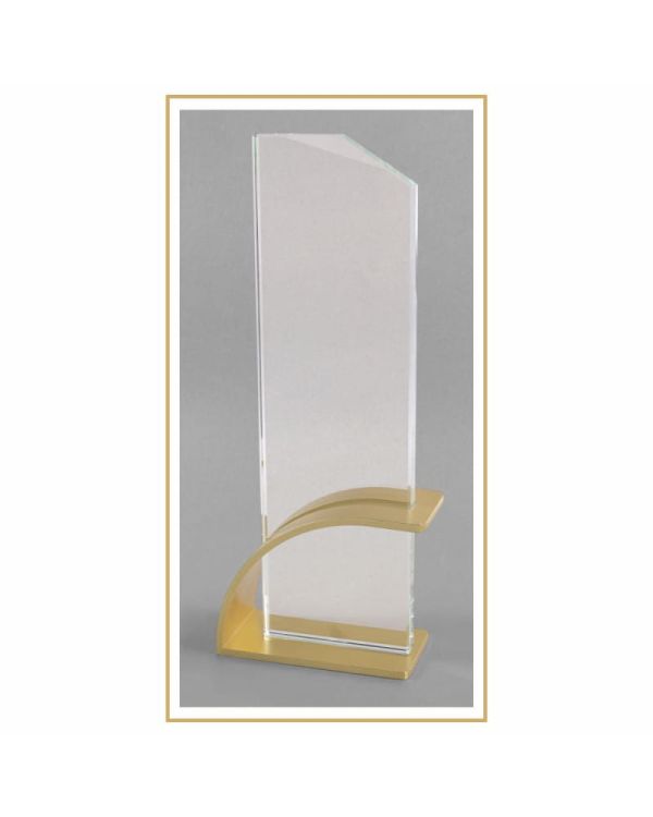 statuetka-szklana-sk101-z-metalem-i-etui.jpg