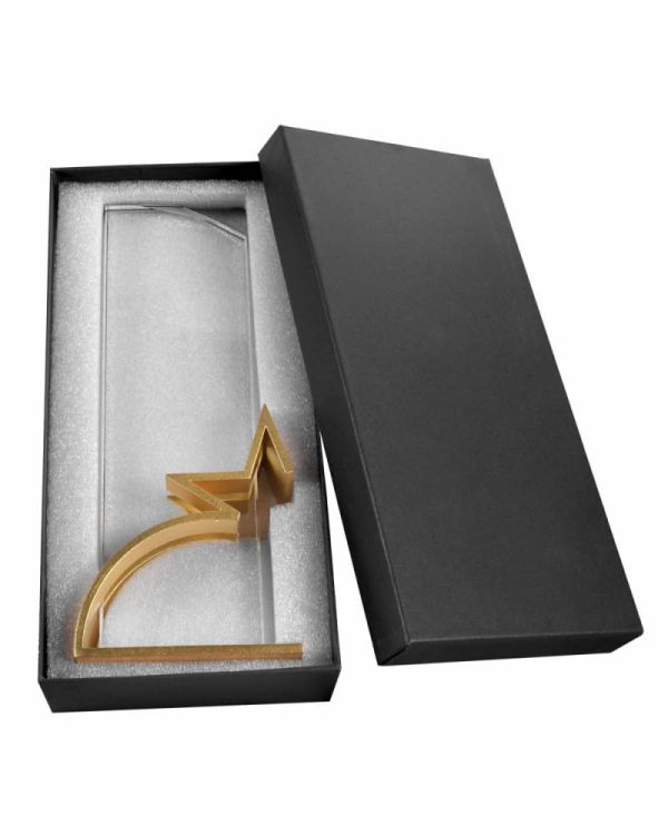 statuetka-szklana-sk102-z-metalem-i-etui (4).jpg