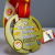 LVI-Warszawska-Olimpiada-Mlodziezy.jpg