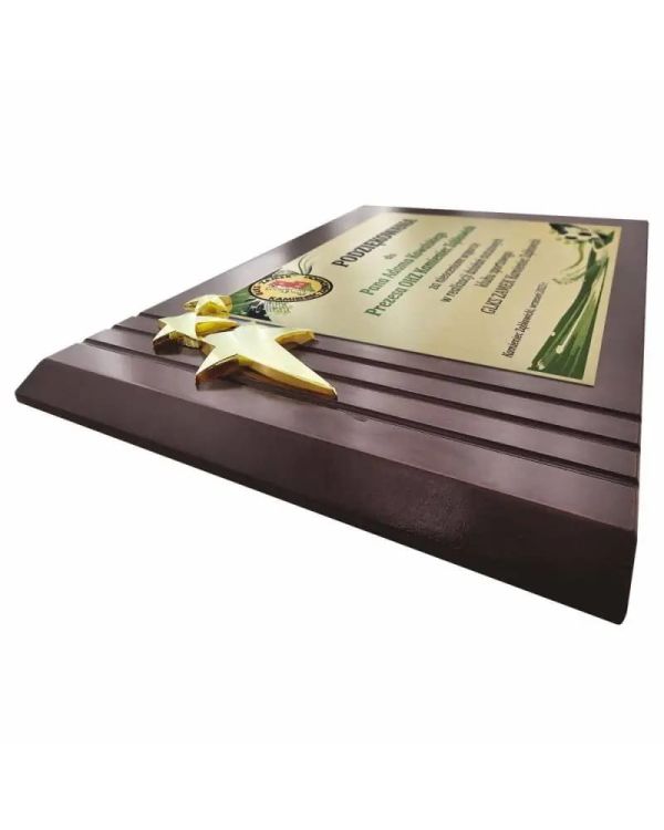 plakieta-pd79-z-gwiazdami (1)_11zon.jpg