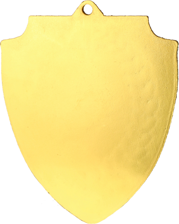 MMC7060_G TYŁ.png