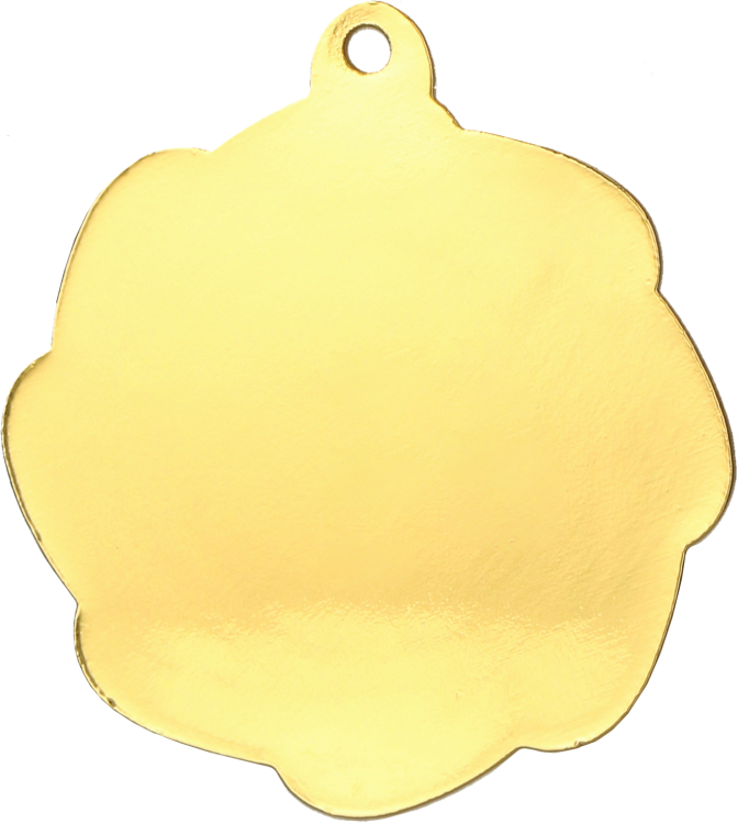 MMC1350_G (1).png