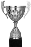 Puchar metalowy srebrny - 4234