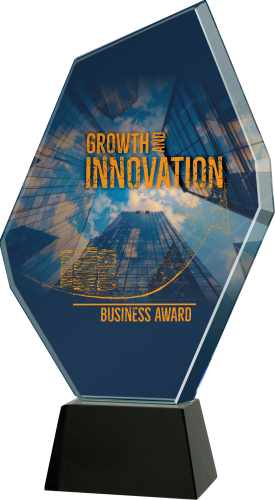 Szklana statuetka w etui na bankiet firmowy Warszawa C069