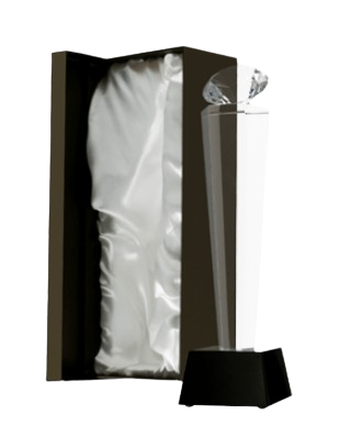 Ekskluzywne wyróżnienie dla pracownika kryształowy diament C077