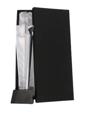 Biznesowa statuetka z etui C081