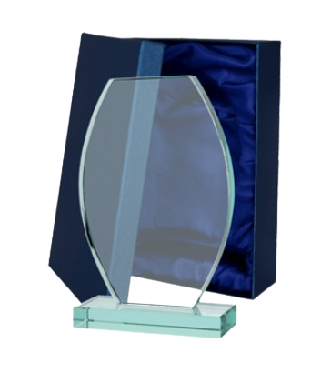 Szklane podziękowanie dla wyróżniającego się pracownika roku G043