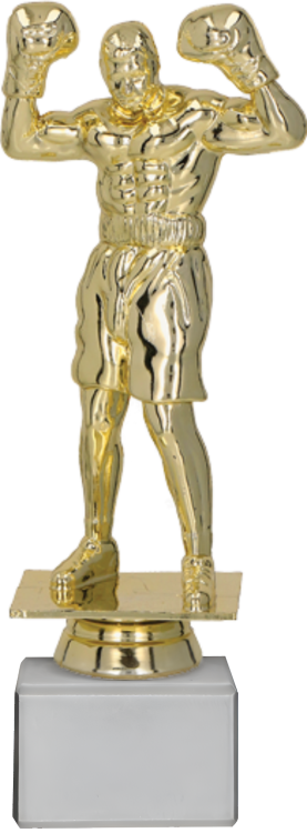F248Gwm.png