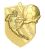 medal-zloty-pilka-nozna.jpeg