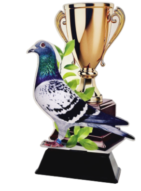 Statuetka z Pleksi GP235 Gołąb 24 cm | Trofeum dla Hodowców Gołębi