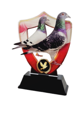 Statuetka z Pleksi GP236 Gołębie Tarcza 18 cm | Trofeum dla Hodowców