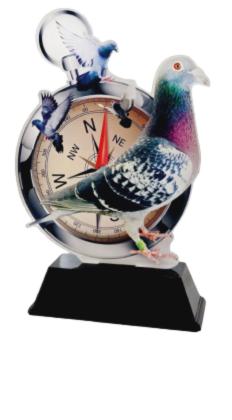 Statuetka Pleksi GP237 Gołąb Kompas 20,5 cm Nadruk UV | PZHGP