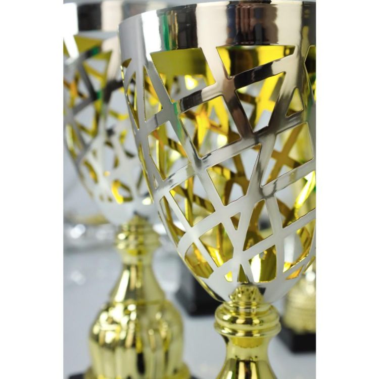 puchar-metalowy-zloto-srebrny (1).jpg