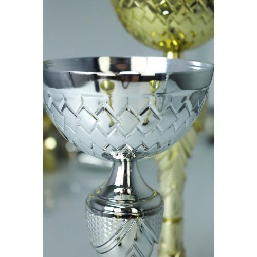 puchar-metalowy-srebrny (2).jpg