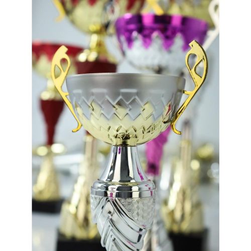 puchar-metalowy-zloto-srebrny (3).jpg