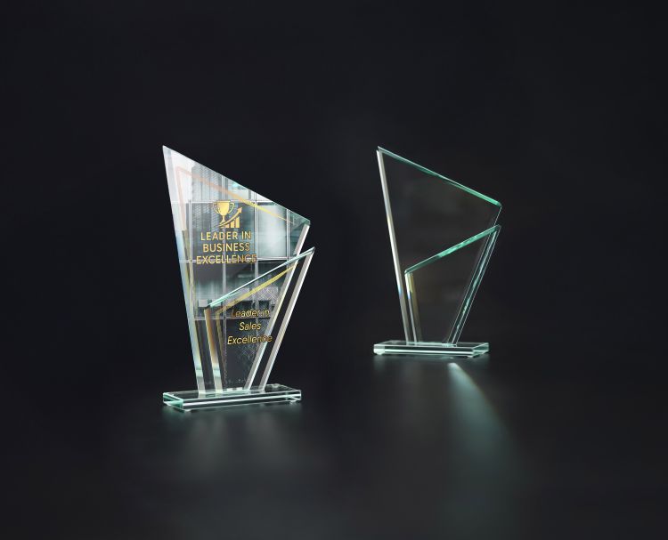 Wyróżnienie za wybitne wyniki na firmowe podsumowanie roku Gs802