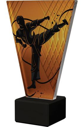 Trofeum Szklane Karate 22,5 cm VL1-A | Wyprzedaż Statuetek