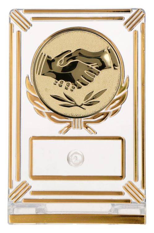 Eleganckie i okolicznościowe trofeum plastikowe