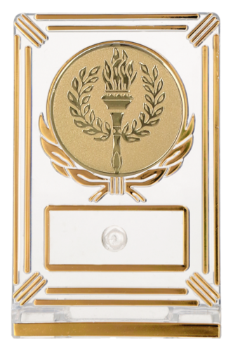 Trofeum Uniwersalne Znicz Olimpijski 13 cm | Sport, Edukacja