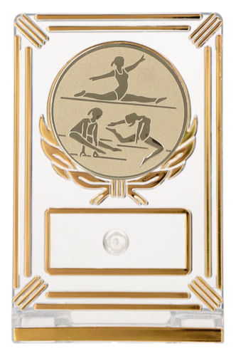 Eleganckie trofeum gimnastyczne (13 cm) z dużym emblematem zawodniczek 50 mm.