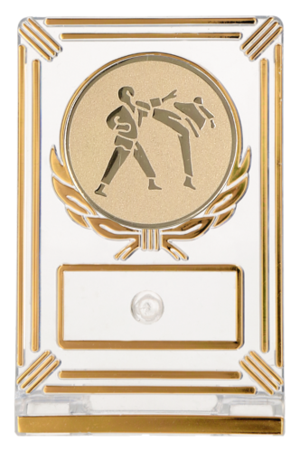 Trofeum Karate 13 cm Złote | Sztuki Walki, Emblemat 50 mm