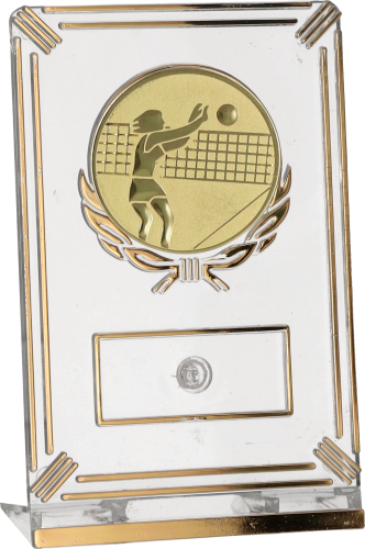 Trofeum Siatkarskie Kobiet 13 cm Złote | Siatkówka, Emblemat 50 mm