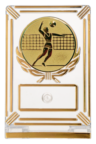 Trofeum Siatkarskie Mężczyzn 13 cm Złote | Siatkówka, Emblemat 50 mm