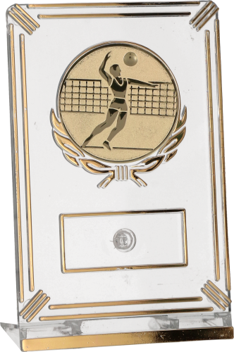 Eleganckie trofeum siatkarskie (13 cm) z dużym emblematem siatkarza 50 mm