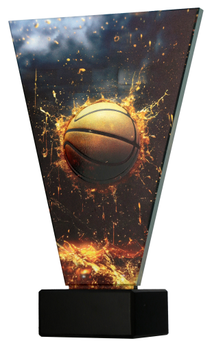 VLINE_NEW_BOK_BAS (1).png