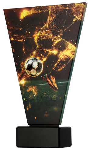 VLINE_NEW_BOK_SOC2 (1).png