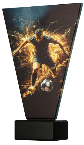 VLINE_NEW_BOK_SOC1 (1).png