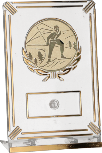 Trofeum Narciarskie 13 cm Złote | Narciarstwo, Emblemat 50 mm