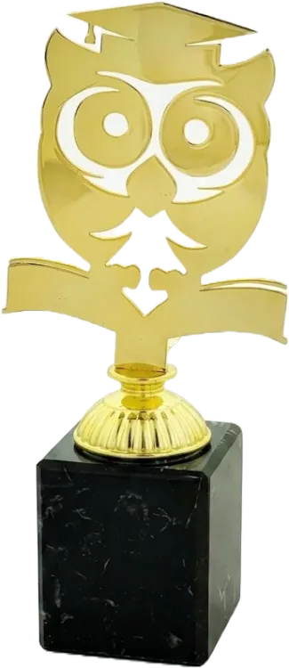 Statuetka Metalowa Sowa Biret 4215-FM02-C