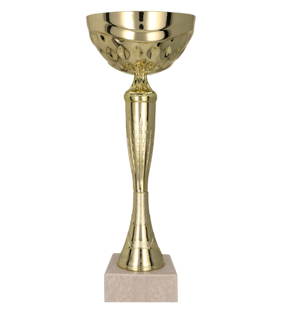 9059A_2_na całość.png