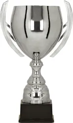 Stylowy Puchar Metalowy Srebrny 1062