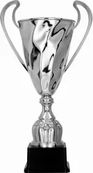 Puchar metalowy srebrny - 2075