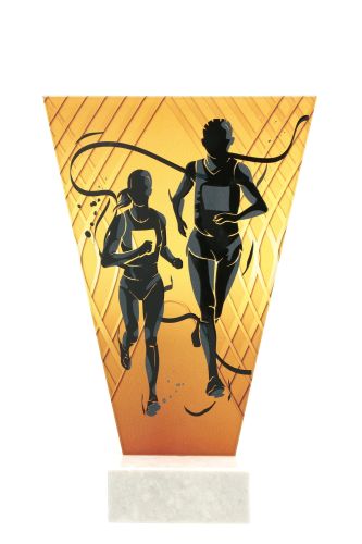 VL1_RUN.jpg
