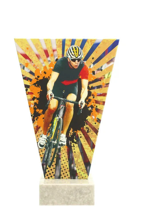 VL2_CYC.jpg