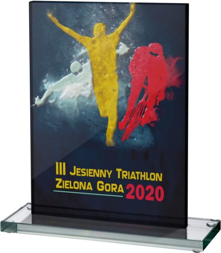 Podziękowanie za współpracę biznesową statuetka szkło nadruk CMYK 8003