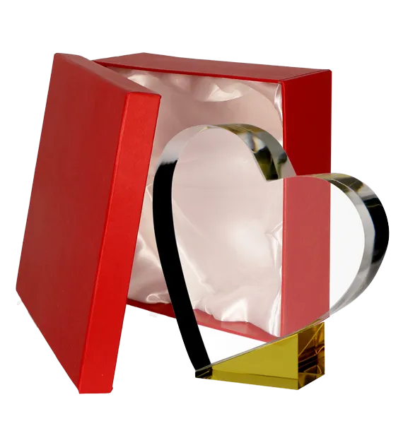 c055+etui.png