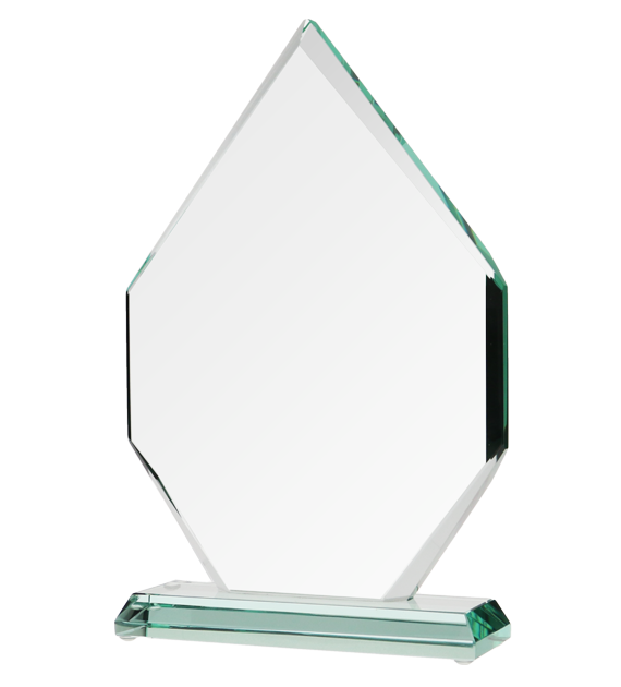 Wyróżnienie za wybitne wyniki sprzedażowe trofeum biznesowe G018