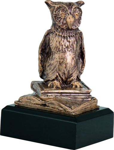 Statuetka Odlewana Sowa Nauka RTY630/BR 13,5 cm | Nagroda Edukacyjna