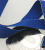 V3_BL_a1.png