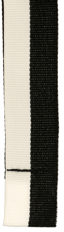 V3-W_BK_2.png
